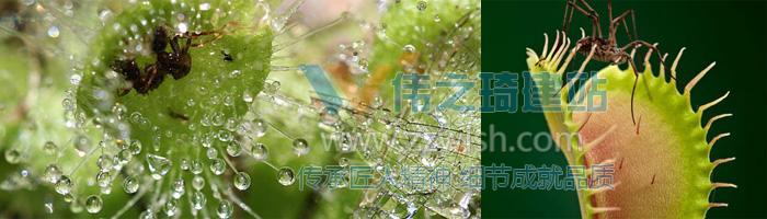 网页设计作品-联发科技-守护湿地蚀蚀刻刻【活动网站】